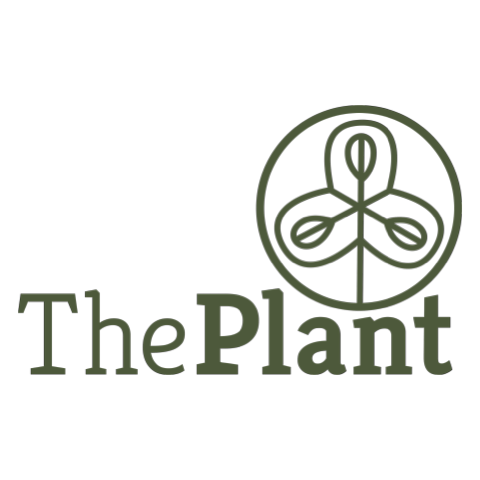 The Plant